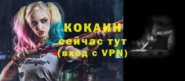 мескалин Осинники