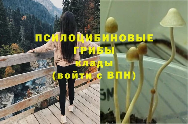 MESCALINE Верея