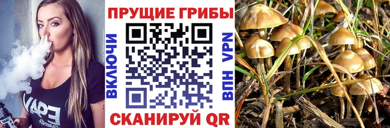 Купить  Краснокамск  Псилоцибиновые грибы Magic Shrooms 