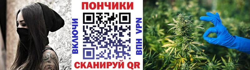Купить закладки Краснокамск Шишки марихуана сатива